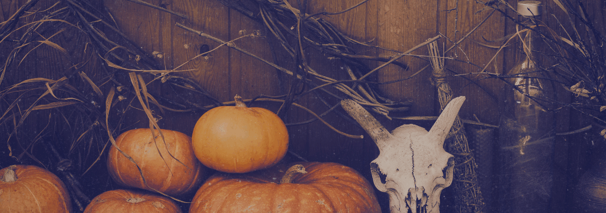 ürbisse, Geweihschädel und getrocknete Zweige als symbolische Herbstdekoration zu Samhain das Fest des Übergangs und Beginn des Rauhnächte-Zyklus