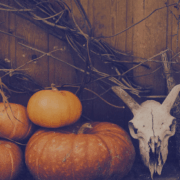 ürbisse, Geweihschädel und getrocknete Zweige als symbolische Herbstdekoration zu Samhain das Fest des Übergangs und Beginn des Rauhnächte-Zyklus