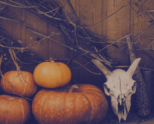 ürbisse, Geweihschädel und getrocknete Zweige als symbolische Herbstdekoration zu Samhain das Fest des Übergangs und Beginn des Rauhnächte-Zyklus